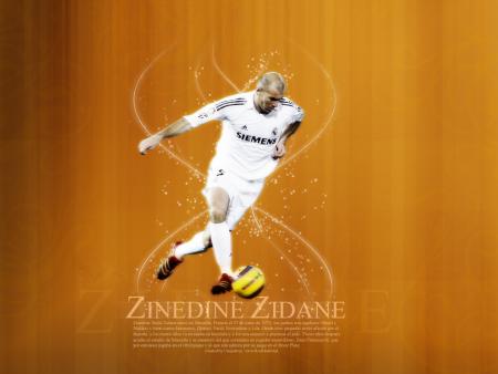 zizo
