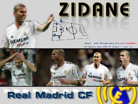 zizo